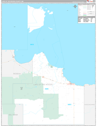 Lake Of The Woods County Wall Map Premium Style 2024